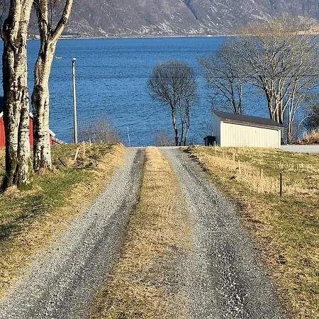 New By The Fjord *