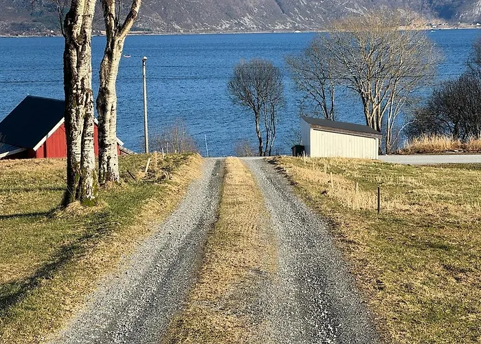New By The Fjord *